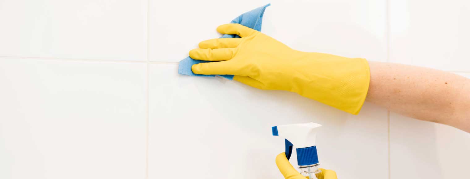 Cómo eliminar los hongos de la pared del baño - Clean Queen