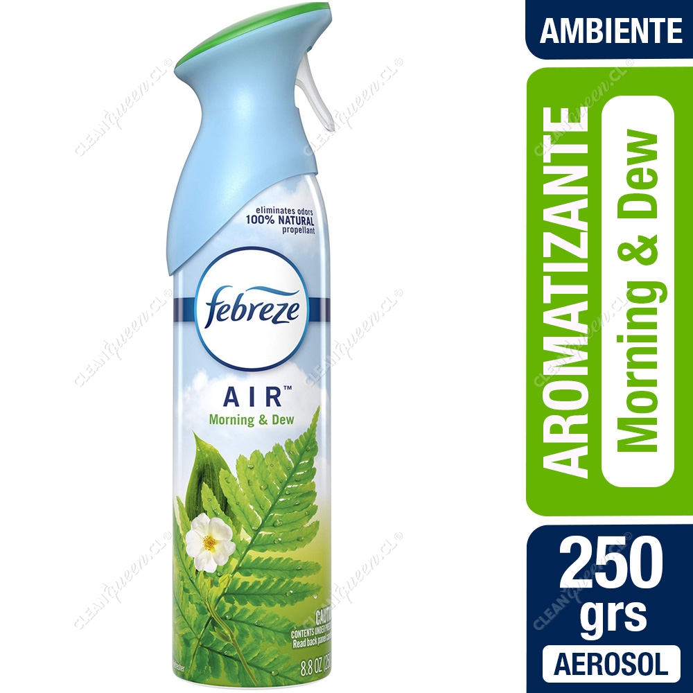 Aromatizante Ambiental Febreze Morning & Dew 250 g - Clean Queen