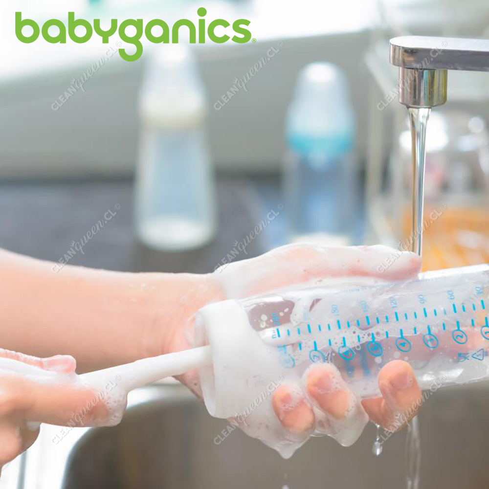 Babyganics Jabón Espumoso Lavatrastes, Detergente para Trastes, Seguro para  Biberones, Sin Fragancia, 473 ml : : Bebé